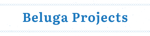 Beluga Projects